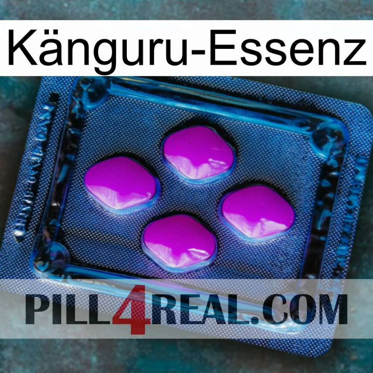 Känguru-Essenz 04